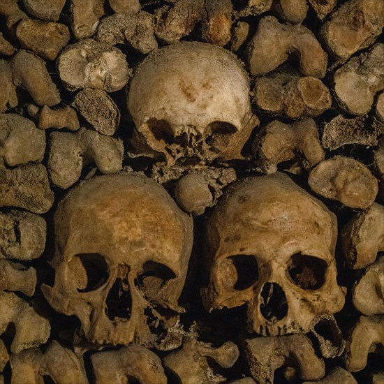 Human skulls and bones