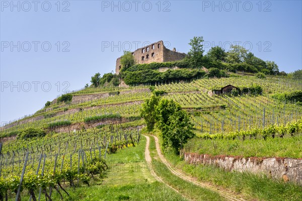 The Schlossberg