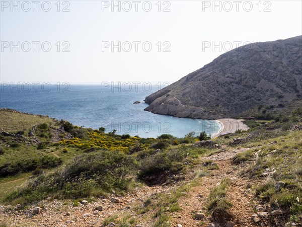 Rugged coastline