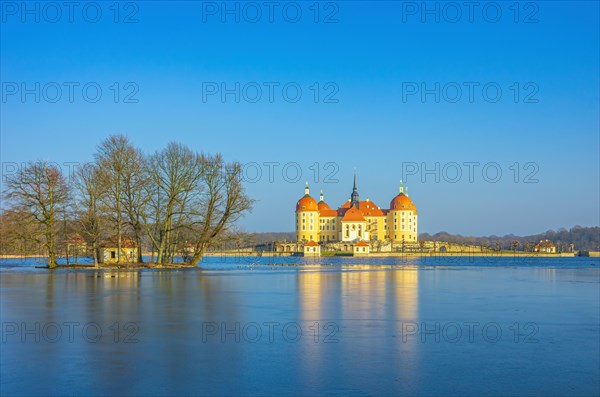 Winterly Moritzburg Castle and Duck Island with group of trees in the half-frozen castle pond