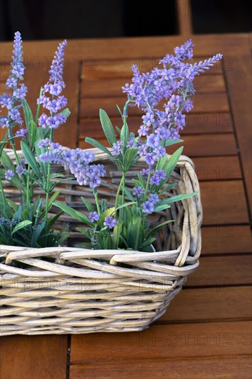 Colorful lavender flowers in a wicker basket on a wooden table