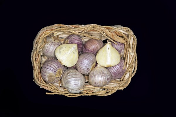 Tubers of alpine broad-leaf allium