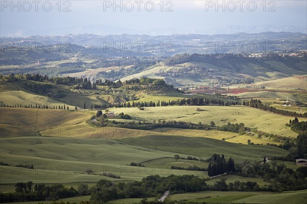 Tuscan landscape near Orciatico
