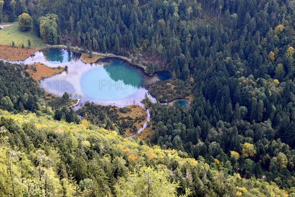 Falkensee in the nature reserve seen from Falkenstein near Inzell