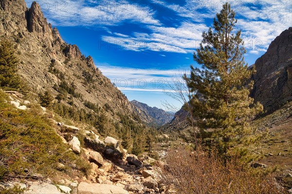 Restonica Valley near Corte