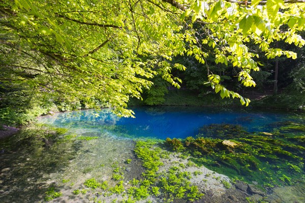 Blautopf in Blaubeuren