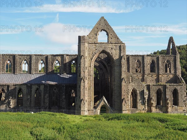 Tintern Abbey