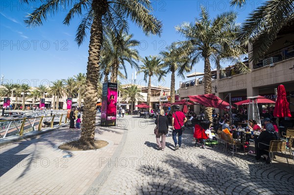 Palm fringed walkway on Marina Mall