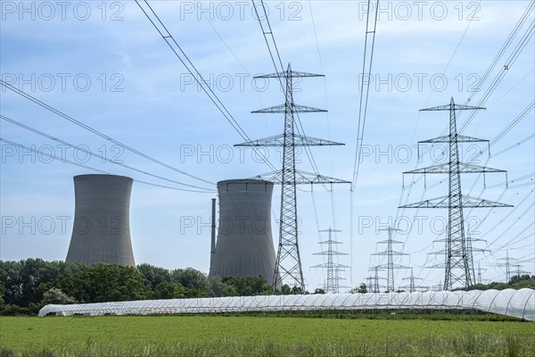 Vegetable cultivation under power lines near the Grafenrheinfeld nuclear power plant