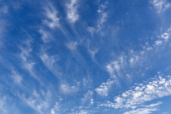 Feather clouds and cirrocumulus in blue sky