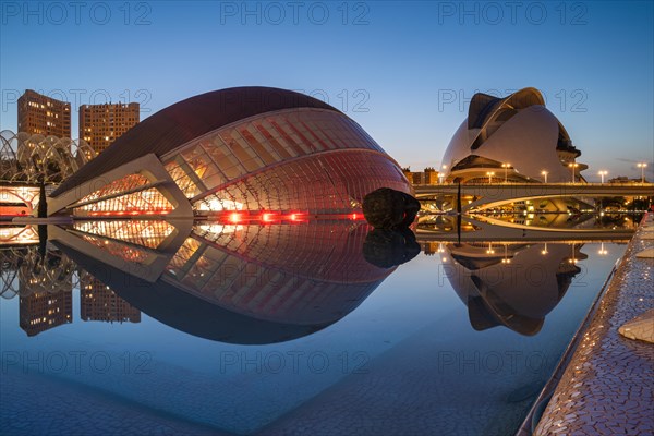 Queen Sofia Palace of the Arts and L Hemisferic planetarium