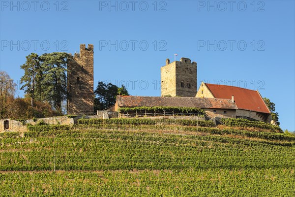 Neipperg Castle