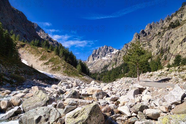 Restonica Valley near Corte