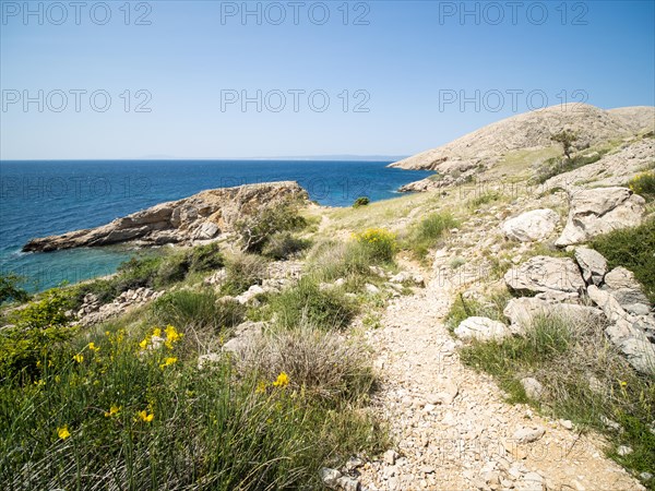 Rugged coastline