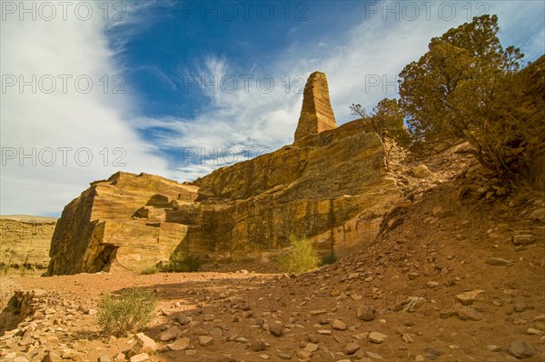 Obelisk in the rock vegetation of Petra