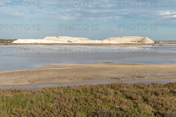 Salt farm in the village of Salin de Giraud near the mouth of the Grand Rhone. Regional nature park Park