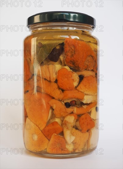 Porcini mushroom jar