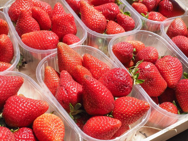 Strawberries in fruitbox