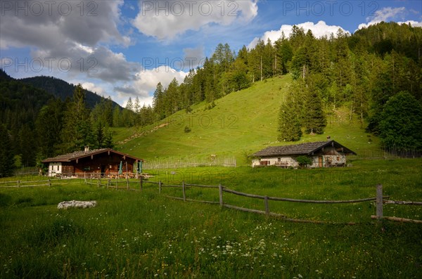 Idyllically situated alpine huts of the Schwarzachenalm near Ruhpolding