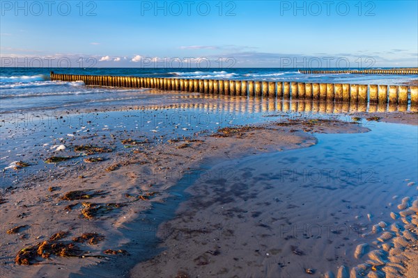 Groynes on the beach of the Baltic Sea in the evening light