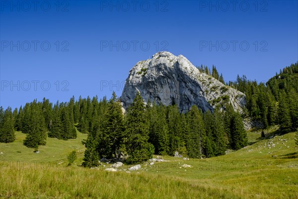 Taubenstein