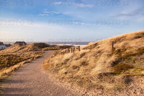 Weststrand on Sylt