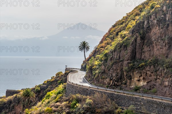 Coastal road in the village of Agulo in the north of La Gomera with a palm tree and Tenerife in the background