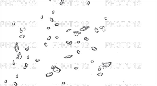 Cropped water drops raindrops rainy mist small droplets drops on transparent translucent background