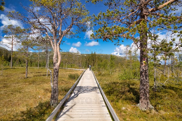 Fulufjaellet National Park