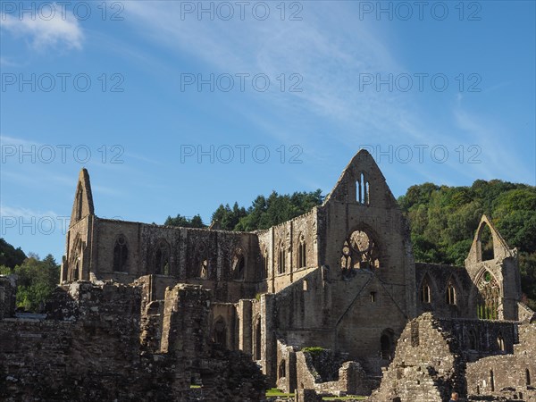 Tintern Abbey