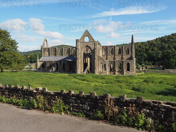 Tintern Abbey