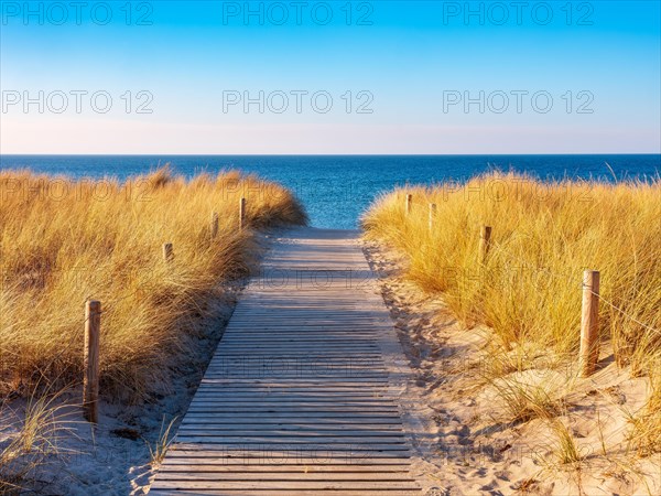 Beach access at the Baltic Sea in the evening light