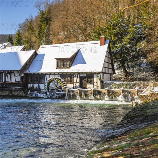 Mill at the Blautopf