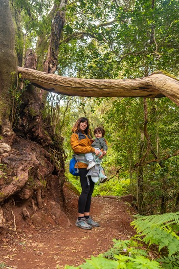 Portrait of mother and son in a tree on the trail in the mossy tree forest of Garajonay National Park