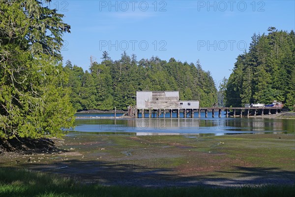 Bay at low tide and dense forest