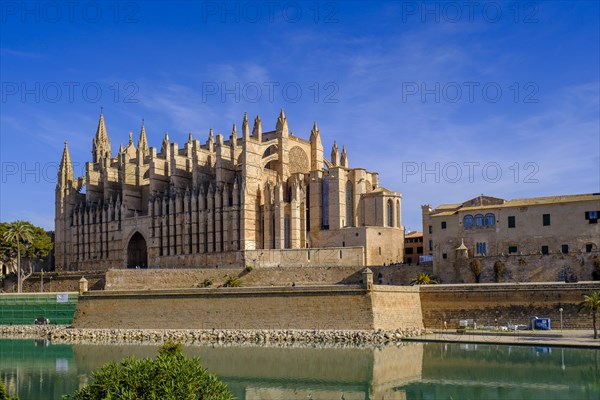 Palma Cathedral