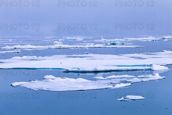 Melting ice floating in a foggy Arctic ocean