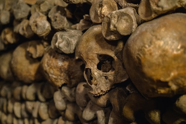 Human skulls and bones