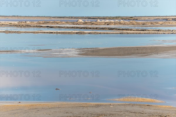 Salt farm in the village of Salin de Giraud near the mouth of the Grand Rhone. Regional nature park Park