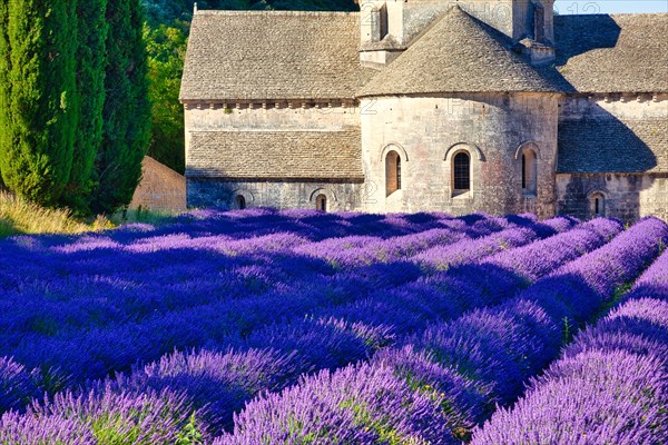 Cistercian Abbey Abbaye Notre-Dame de Senanque