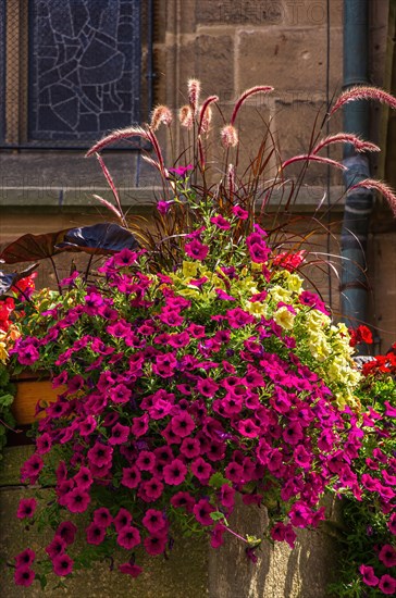 Beautiful and colourful urban decoration with flowers and plants in flower boxes in the outdoor area of the collegiate church of Tuebingen