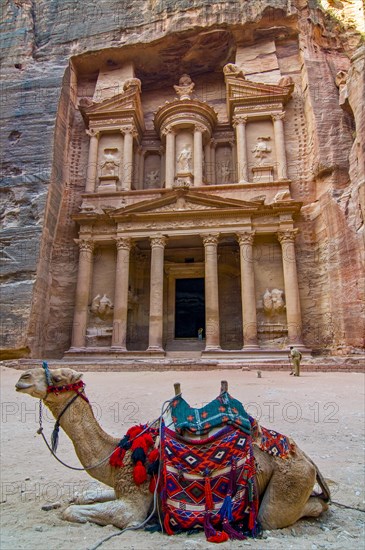 Camel in front of tomb in the rock