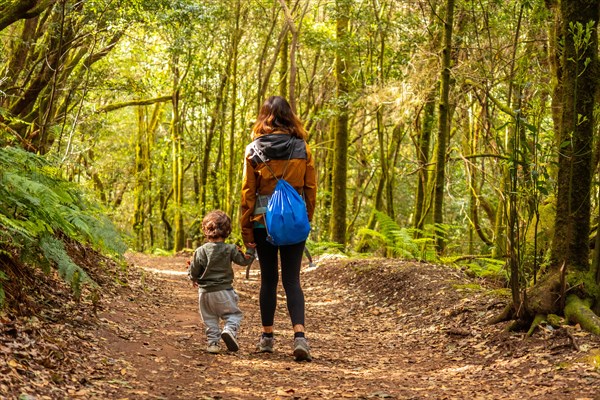 Mother and son hiking through Las Creces on the trail in the mossy tree forest of Garajonay National Park