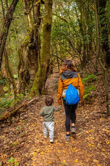 Mother and son hiking through Las Creces on the trail in the mossy tree forest of Garajonay National Park