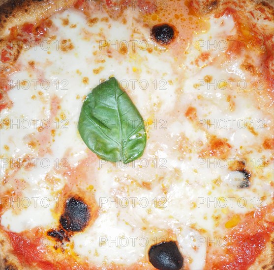 Margherita pizza food