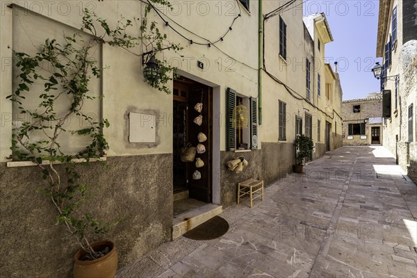 Street in the old town of Mallorca