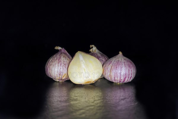 Halved bulb of alpine broad-leaf allium