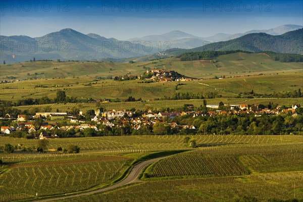 Medieval village in the vineyards