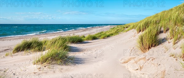 Summer day by the sea