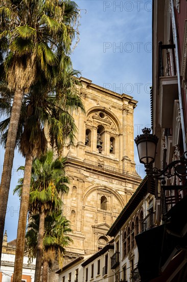 Granada Cathedral